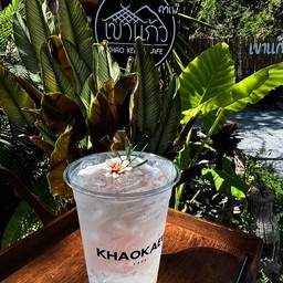 น้ำมะพร้าว