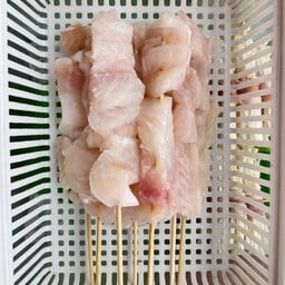 ปลาดอลลี่