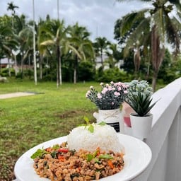 กะเพราหลังบ้านByวิลเลจ