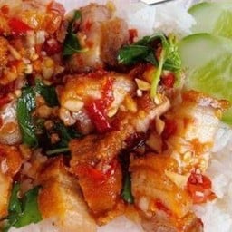 ตัวกลมตามสั่ง