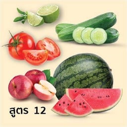 สูตร 12