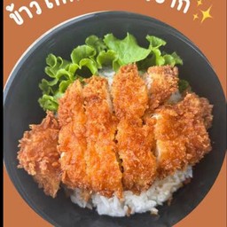 ข้าวไก่กรอบเทอริยากิ + สลัดผัก