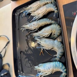 กุ้งแม่น้ำสดๆ