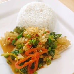 ข้าวกะเพราปลาหมึก