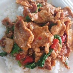 กระเพราหมูชิ้น