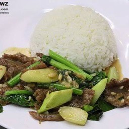 ข้าวราดคะน้าเนี้อน้ำมันหอย
