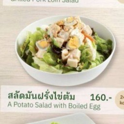 Mix Potato and Boiled Egg Salad