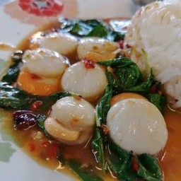 ข้าวกะเพราหอยเชลล์