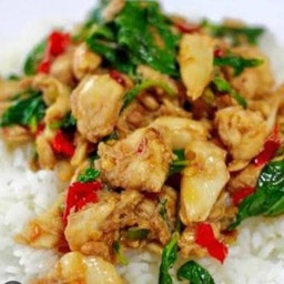 กะเพราไก่เล้าพ่อใหญ่เดียว