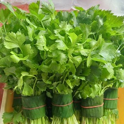 ขึ้นช่าย (100กรัม)