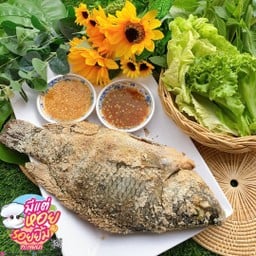 ปลานิล เผาเกลือ