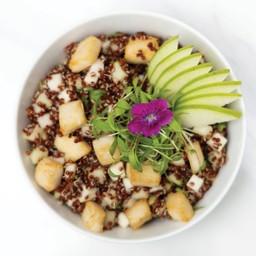 Grilled Chicken Quinoa Salad