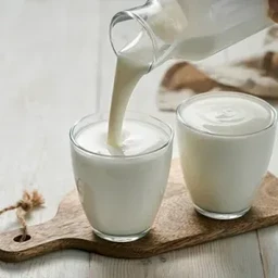 Kefir Natural (Натуральный кефир)