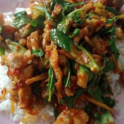 ข้าว + ผัดเผ็ดเนื้อ