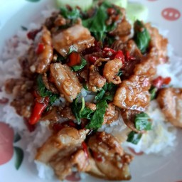 กระเพราหมูป่า