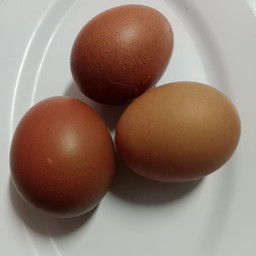 ไข่ออนเสน