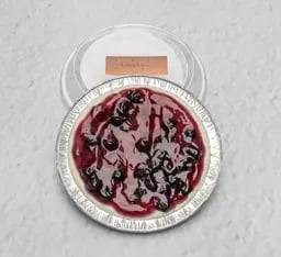 พายบลูเบอร์รี่ Blueberry Cheese Pie ไซส์ M 250g.