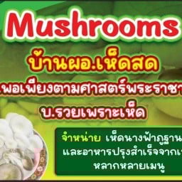 บ้านเห็ดสด ปราณบุรี