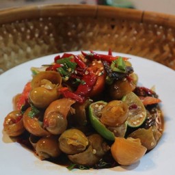 ตำหอยสีทอง