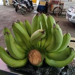 กล้วยหอมกระเหรี่ยงL