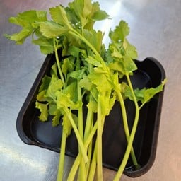 ตั้งโอ๋