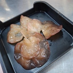 เห็ดหูหนู