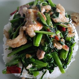 ผัดน้ำมันหอย