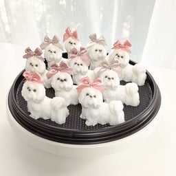 วุ้นชิสุ