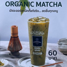 เพียวมัทฉะออแกนิก