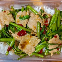 ข้าวราดผัดผักบุ้ง หมูชิ้น