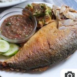 ชุดน้ำพริกกะปิ ปลาทูตัวกลาง