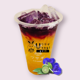 ออโรร่า