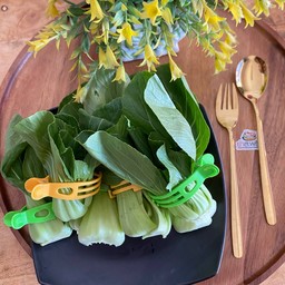 กวางตุ้ง ฮ่องกง