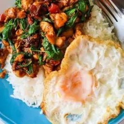 ผัดกระเพราไก่ ราดข้าว chicken