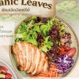 CHICKEN SALAD
