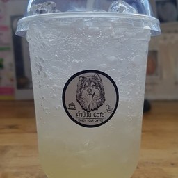 ลิ้นจี่โซดา