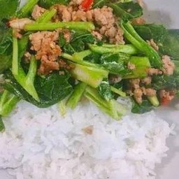 ผัดคะน้าหมูสับราดข้าว minced pork