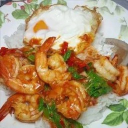 ผัดกระเพรากุ้ง ราดข้าว shrimp