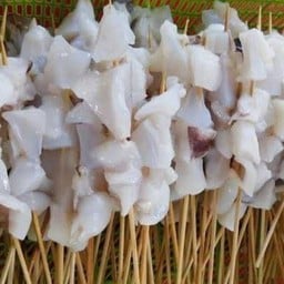 คอหมึกย่าง