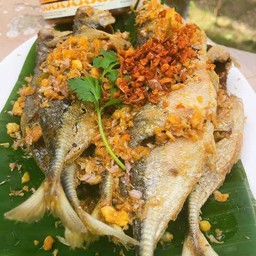 ปลาทูทอดทอดกระเทียม