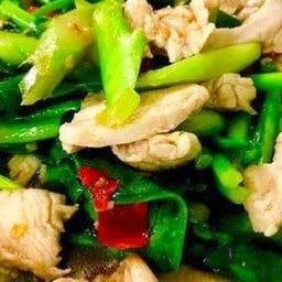 คะน้าไก่