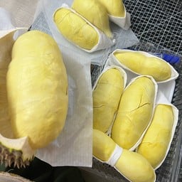 หมอนทอง ชุมพร