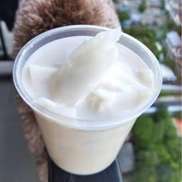 พู้ดดิ้งนมสดมะพร้าวอ่อน