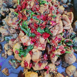 ไก่ผัดใบโหระพา