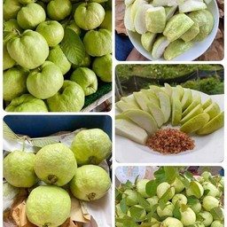 ฝรั่งกิมจูกรอบหวานนุ่ม