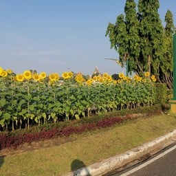 ศาลเจ้าพ่อหลักเมืองร้อยเอ็ด