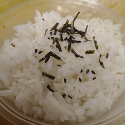 ข้าวญี่ปุ่น