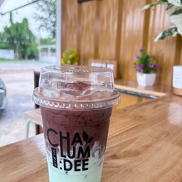 โกโก้มิ้นท์