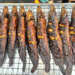 ปลาดุก ย่าง