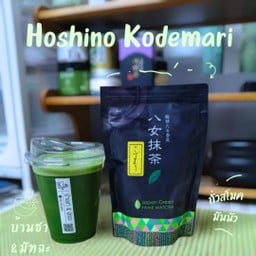 Hoshino Kodemari